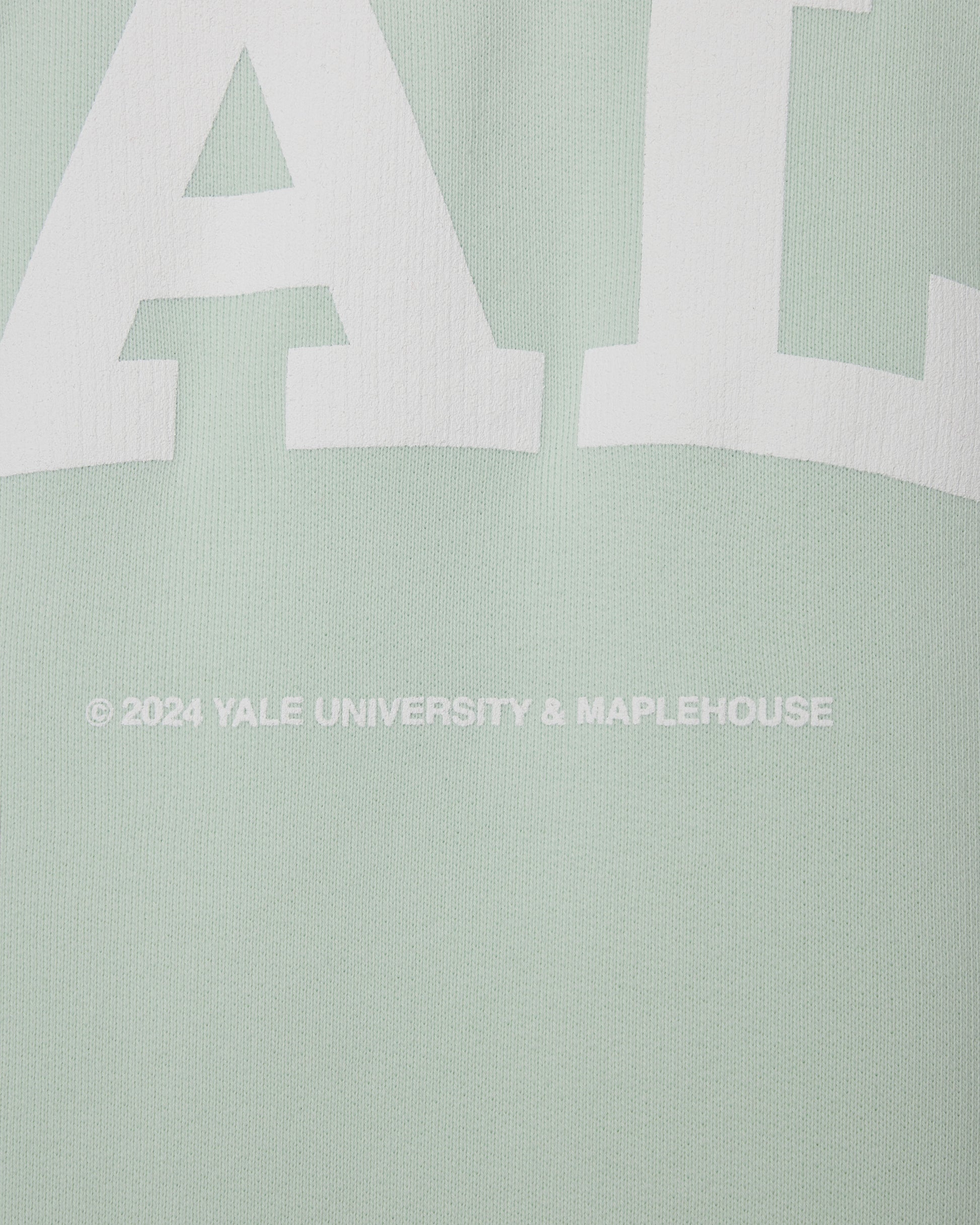 Yale University Classic Crewneck - Vintage Light Green