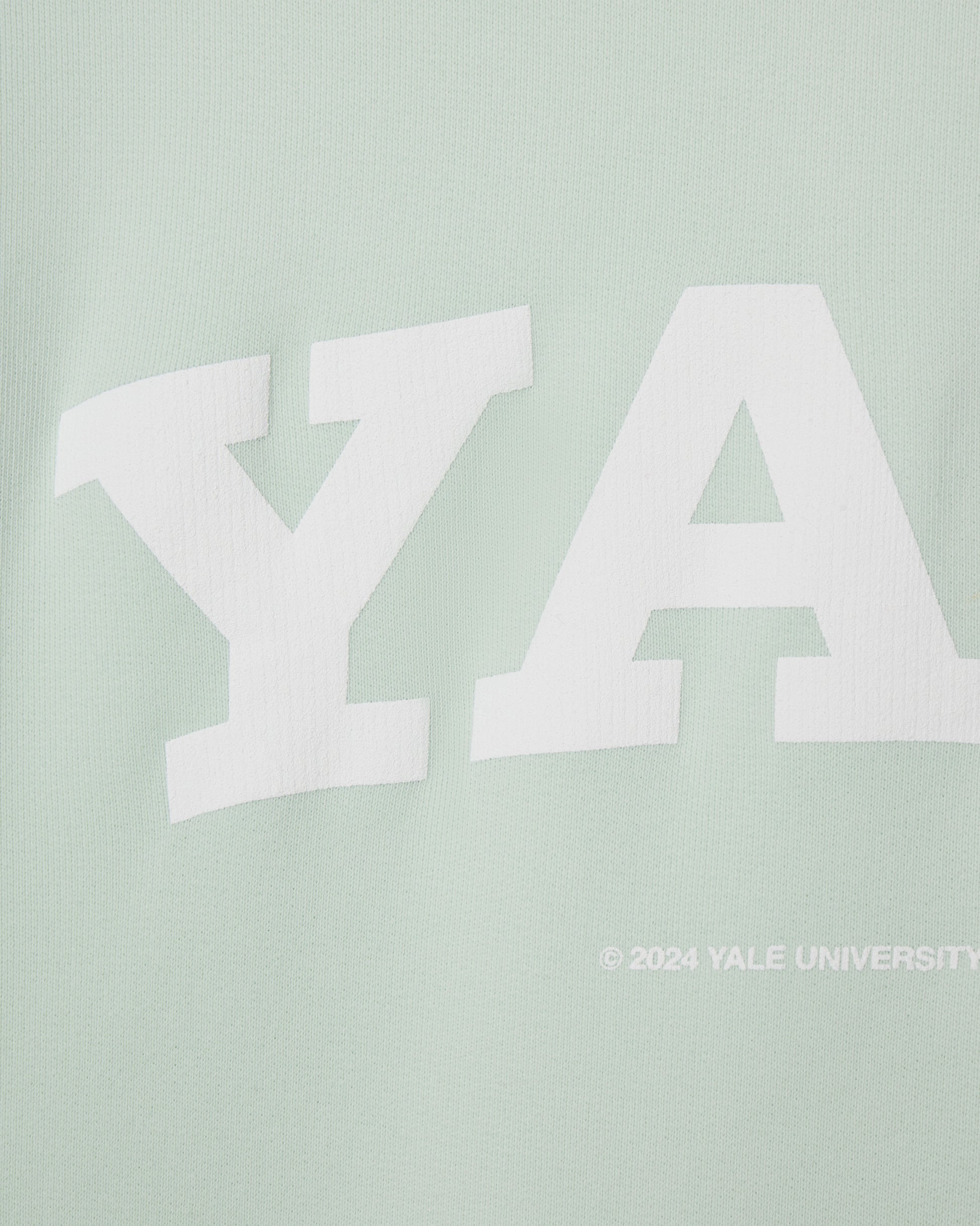 Yale University Classic Crewneck - Vintage Light Green